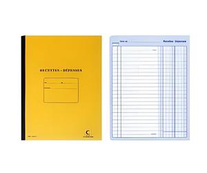 ELVE Registre Recettes/Dépenses, 80 pages, 297 …