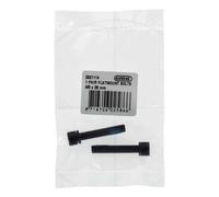 Elvedes Boulon M5x28 Mm Flatmount 2 Unités