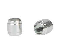 Elvedes Hydro Pièces Formule s'original Tuyau d'olive 10 pièces par Sac - Multicolore