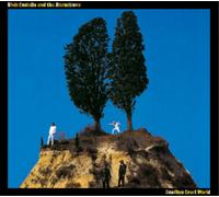 Elvis Costello - Goodbye Cruel World