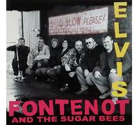 Elvis Fontenot and the Sugar Bees - Dead Slow Please