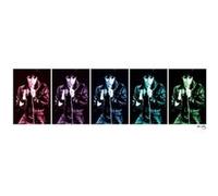 Elvis Presley - 33x95 cm - AFFICHE / POSTER G