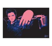Elvis Presley - 40x50 cm - AFFICHE / POSTER G
