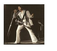 Elvis Presley - Elvis 77 - 97 (UK