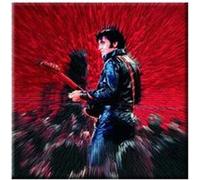 Elvis Presley magnet Shine G