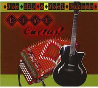 Ely, Joe - Live Cactus