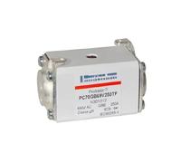 ELZNSQQK PC70GB69V125TF G301283 PC70GB69V160TF L301310 PC70GB69V200TF M301311 PC70GB69V250TF N301312 Fusible(PC70GB69V125TF)