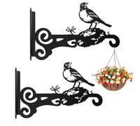 EMAGEREN 2 Pcs Suspension Plante Extérieur, Crochet Pot de Fleur Suspendu Fer Forgé, Support Mural Pot de Fleur, Crochet Suspension Plante en Forme de Pic, pour Panier Lanterne Mangeoire à Oiseaux