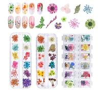 EMAGEREN 3 Pcs Fleur Séchée Ongle Deco Ongle Gel Printemps Fleurs Séchées Naturelles Colorée 18 * 13 * 1,2 cm pour Art Ongles Papeterie Invitations de Mariage Enveloppes Chandeliers Savon Scrapbookin