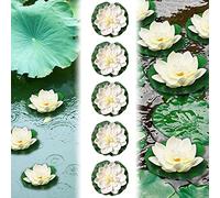 EMAGEREN Fleurs Flottantes Lot de 5 Nénuphar Artificiel Blanc Lotus NymphéAs Artificiels Ornement Flottant Fleur de Lotus Mousse Flottante Plantes pour piscines, Aquariums, scènes de ruisseau