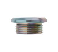 eMagTech Bouchon de Vidange Différentiel avec Joint Torique Filetage M22 X 1,5 Compatible avec BMW pour Modèles de La Série EFG 33117525064