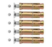 eMagTech Lot de 5 boulons de sécurité antivol M10 M10 x 70 mm - Boulons d'ancrage de sécurité adaptés pour la fixation de béton et de pierre avec billes en acier de 6 mm