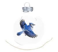 EMASDGEY Ornement de boule transparente en forme d'oiseau naturel - Décoration de vacances élégante pour sapin de Noël - Collections de cadeaux chéris - Ornement de Noël oiseau naturel