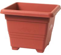 Emballage Plastia carré Bégonia - terre cuite 20x20 cm