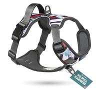 Embark Pets Urban Dog Harnais réglable Anti-Traction pour Chiot avec 2 Clips pour Laisse, Harnais Anti-Traction Avant et arrière avec poignée de contrôle, Gilet Doux et rembourré pour Chiens de