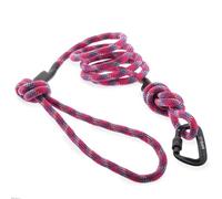 Embark Sierra Laisse pour Chien avec Corde d'escalade et Mousqueton Résistance et durabilité inégalées 1,8 m Laisse en Nylon coloré et Robuste pour Chiens de Petite, Moyenne et Grande Race Laisse