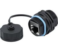 Embase de traversée étanche RJ45 STP CAT 6 - avec bouchon