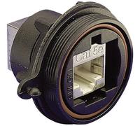 Embase femelle droite RJ45 IP68 Bulgin PX0833 Contenu: 1 pc(s)