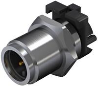 Embase mâle pour capteurs/actionneurs Weidmüller SAIE-M12S-5S-F5.5TL 2423150000 Pôle: 5 10 pc(s)