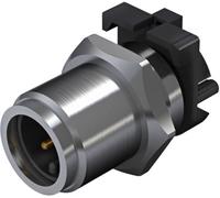 Embase mâle pour capteurs/actionneurs Weidmüller SAIE-M12S-5S-F5.5TL 2423150000 Pôle: 5 10 pc(s)
