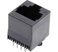 Embase modulaire femelle econ connect MJTN88A RJ45 embase femelle, verticale Pôle: 8 noir