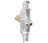 Embase RJ45 Cat. 5e UTP - GOOBAY - Pré-assemblée - Connecteur doré - Couleur beige