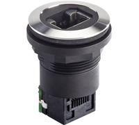 Embase RJ45 femelle Schlegel RRJVA_RJ45_STB RJ45 embase femelle avant RJ45 femelle blindée - arrière RJ45 femelle blindée Pôle: 8P8C 1 pc(s)