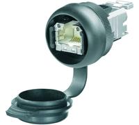 Embase Weidmüller IE-FCM-RJ45-FJ-A 1018810000-10 embase mâle 10 pc(s)