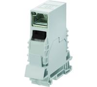Embase Weidmüller IE-TO-RJ45-C 8946920000-10 Bride dappareil RJ45 10 pc(s)