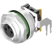 Embase Weidmüller SAIEW-M8B-4S-H12TL 2424390000 M8 embase mâle horizontale Nombre de pôles: 4 10 pc(s)