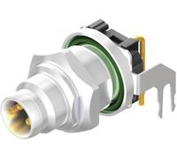 Embase Weidmüller SAIEW-M8S-4S-H8TL 2424420000 M8 embase mâle horizontale Nombre de pôles: 4 10 pc(s)