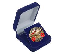 Emblème de la bataille d'Angleterre - Badge commémoratif de la bataille d'Angleterre | Broche avec emblème, épingle à revers en métal, souvenir commémoratif, Consulte la descripción, Métal, Voir
