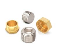 Embout de tuyau à tête hexagonale filetage mâle en laiton, plusieurs tailles, 2 pièces(Iron Pllug,2 PCS-1)