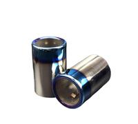 Embout Echappement Pour BMW F30 F35 320i 320i 316i 328i 2013-2017 Voiture Acier Inoxydable Arrière Queue D'échappement Embout Tuyaux D'extrémité D'échappement Tip Tail Throat(Blue 2piece)
