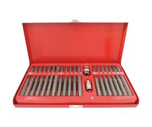 Embout hexagonal 10mm XZN/hexagonal/Torx avec 2 douilles 1/2 et 3/8' porte embout - coffret métallique de 40 pcs DRAKKAR TOOLS - 10751