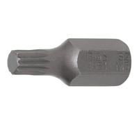Embout M6 30 mm - Denture Multiple Intérieure XZN - Précision et Durabilité, Acier - D-Work