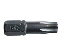 Embout - RISS - Torx T25 - Acier S2 - 25 MM - Vendu à l'unité