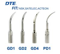 Embouts de détartreur dentaire Woodpecker DTE originaux GD1 GD2 GD4, pointe de détartreur adaptée à la pièce à main de détartreur ultrasonique SATELEC ACTEON NSK GD2 5Pcs