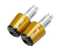 Embouts de Guidon pour Suzuki GS500E, GS500 E F, GS500F 1994-1998, 1999 Et 2000 Pièces Moto, Poignées De Guidon, Embouts Poids, Anti-Vibrations(Gold Black)
