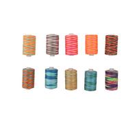 Embroidery Machine Thread Polyester Thread Sewing Machine Thread Durable Wear Resistant Variegated Color 10Pcs for Household Use Crafting Projects