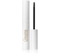 Embryolisse Artist Secret Brow Volumizing Mascara Mascara Sourcils Teinte Deep Brown 5 Ml