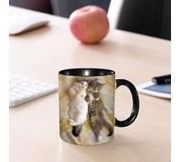EMCLKS Mug en céramique, 330ml, tasse à thé, tasse cafe, tasse drole, cadeau drole, cadeau homme, mug cafe, Drôles de chatons frères et sœurs couchés à côté de chats endormis