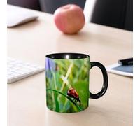 EMCLKS Mug en céramique, 330ml, tasse à thé, tasse cafe, tasse drole, cadeau drole, cadeau homme, mug cafe, Coccinelle à carapace rouge, une minuscule créature dans verte