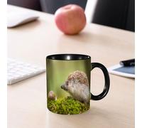 EMCLKS Mug en céramique, 330ml, tasse à thé, tasse cafe, tasse drole, cadeau drole, cadeau homme, mug cafe, Hérisson et escargot sur la mousse, mignonnerie en forêt