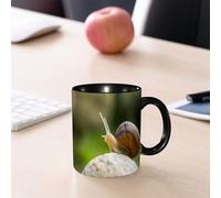 EMCLKS Mug en céramique, 330ml, tasse à thé, tasse cafe, tasse drole, cadeau drole, cadeau homme, mug cafe, Escargot sur un rocher, Escargot, escargot à coquille brune perché sur une pierre