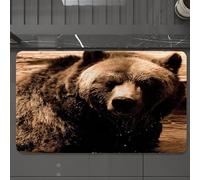 EMCLKS Tapis de Bain Antiderapant, Tapis Salle de Bain en Microfibre Douce, Tapis de Bain Absorbant, Lavable,Le Grizzly ou l'ours Brun d'Amérique du Nord est Une sous-espèce d'ours Brun Qui,60x90 cm