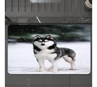 EMCLKS Tapis de Bain Antiderapant, Tapis Salle de Bain en Microfibre Douce, Tapis de Bain Absorbant, Lavable,Portrait d'un Husky sibérien Noir et Blanc sur Fond de Neige Bleue. Chiens sur f,60x90 cm
