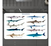 EMCLKS Tapis de Bain Antiderapant, Tapis Salle de Bain en Microfibre Douce, Tapis de Bain Absorbant, Lavable,Il Existe de Nombreux Types de Requins, Différents Requins, Types de Requins, Re,60x90 cm
