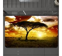 EMCLKS Tapis de Bain Antiderapant, Tapis Salle de Bain en Microfibre Douce, Tapis de Bain Absorbant, Lavable,Décor de Safari, Arbre Unique au Coucher de Soleil Africain de rêve avec des nua,60x90 cm