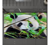 EMCLKS Tapis de Bain Antiderapant, Tapis Salle de Bain en Microfibre Douce, Tapis de Bain Absorbant, Lavable,Panda, Un Mignon Panda géant regardant sur du Bambou, mâchant des Feuilles,60x90 cm
